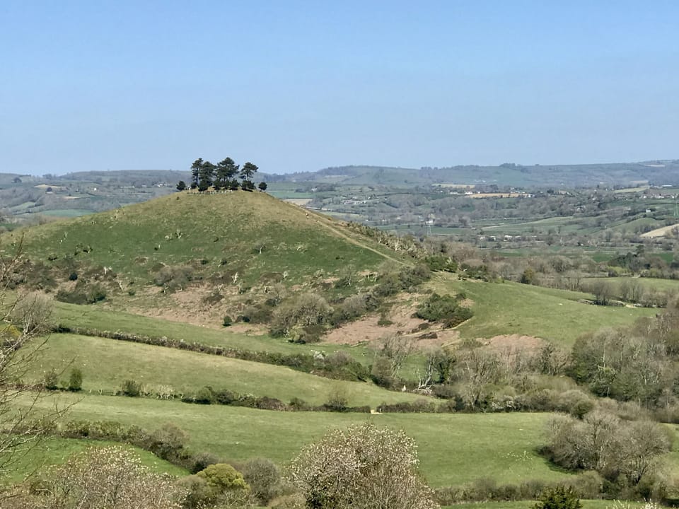 The Billy Shed, Eype: Nearby Colmers Hill, an iconic site