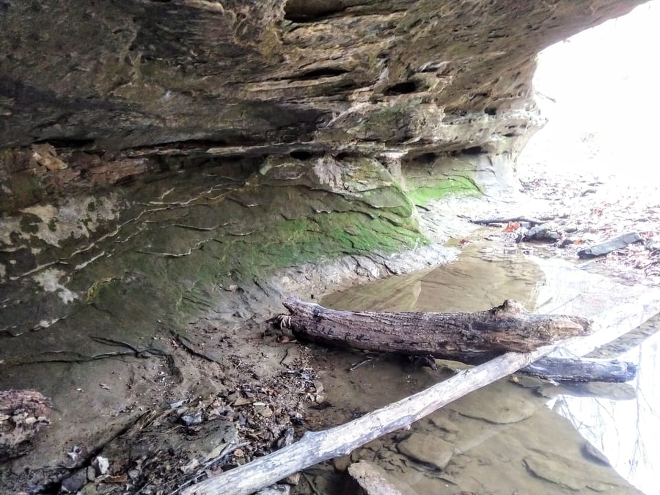 Half mile hike to the bottoms