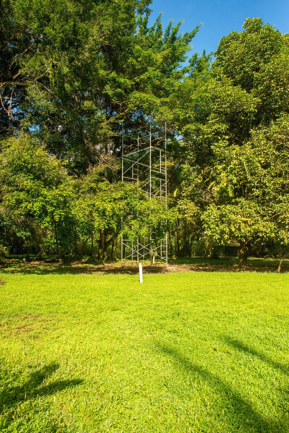 Monkey Jump hide (photography platform)