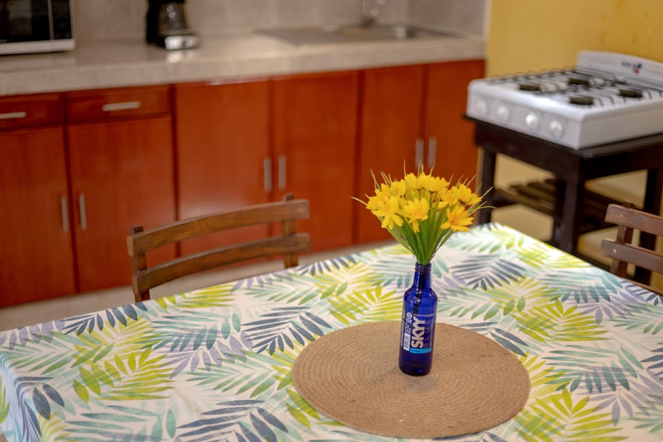 Cocina/ Kitchen