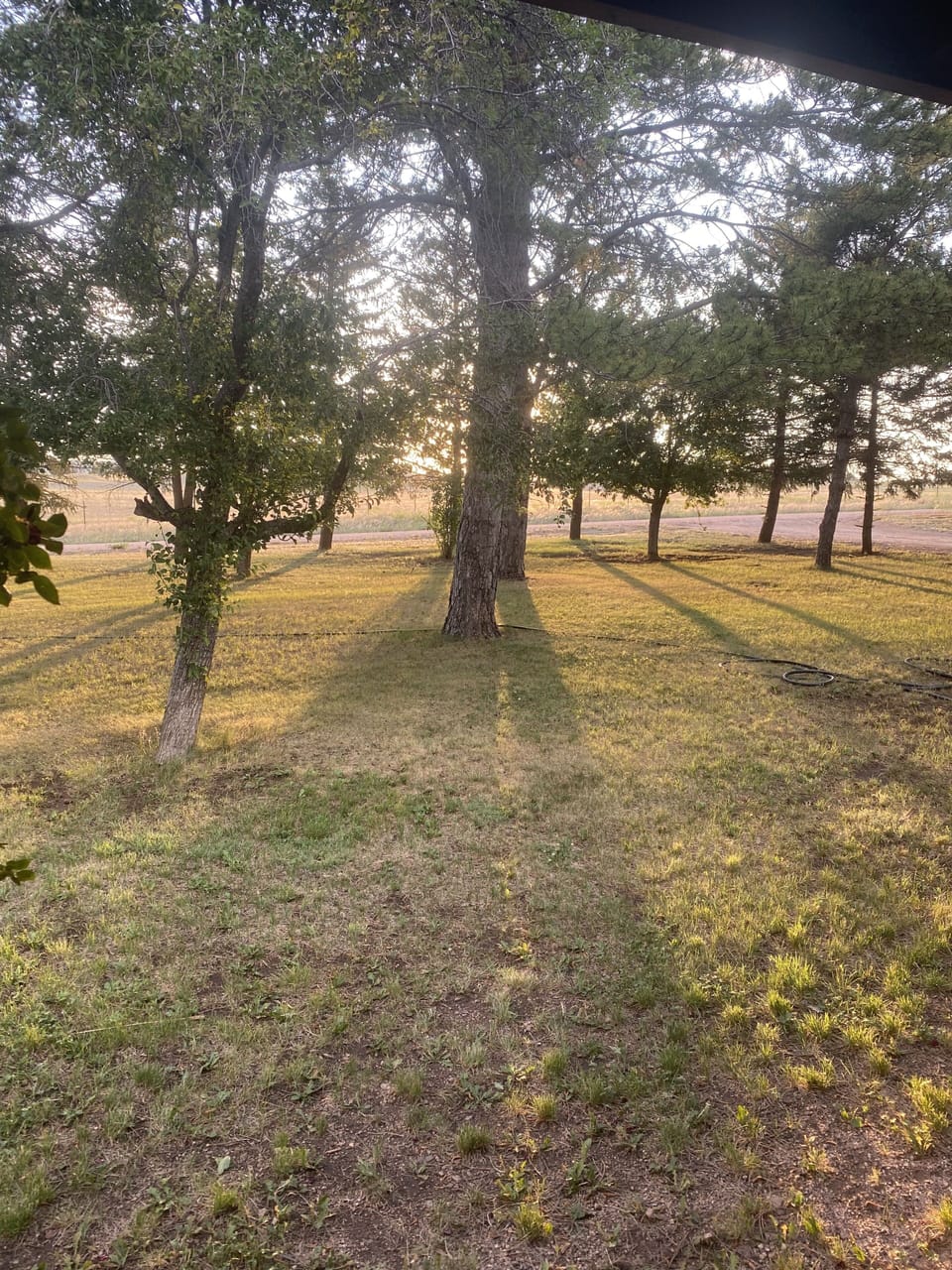Large wooded yard, lots of sweet bird sounds.