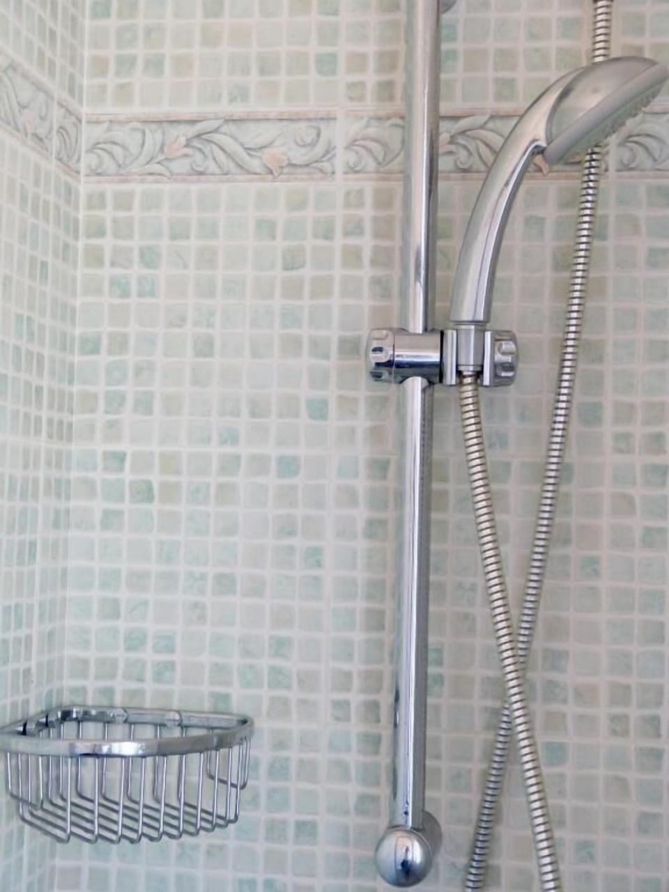 Shower, free toiletries, bidet, towels