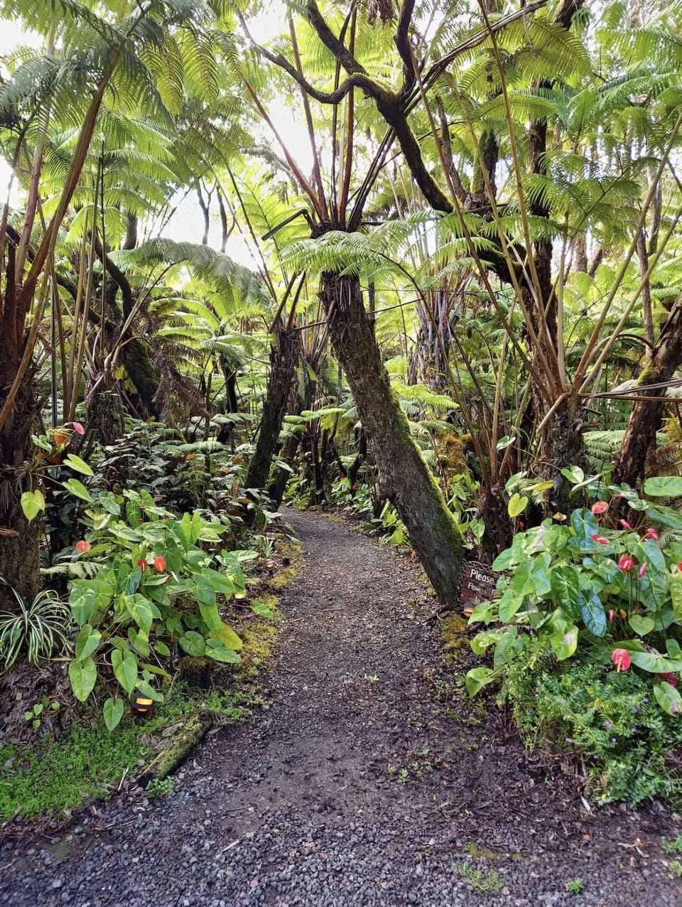 Trail on the property