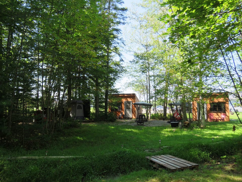 Cabin #1 (Basic)