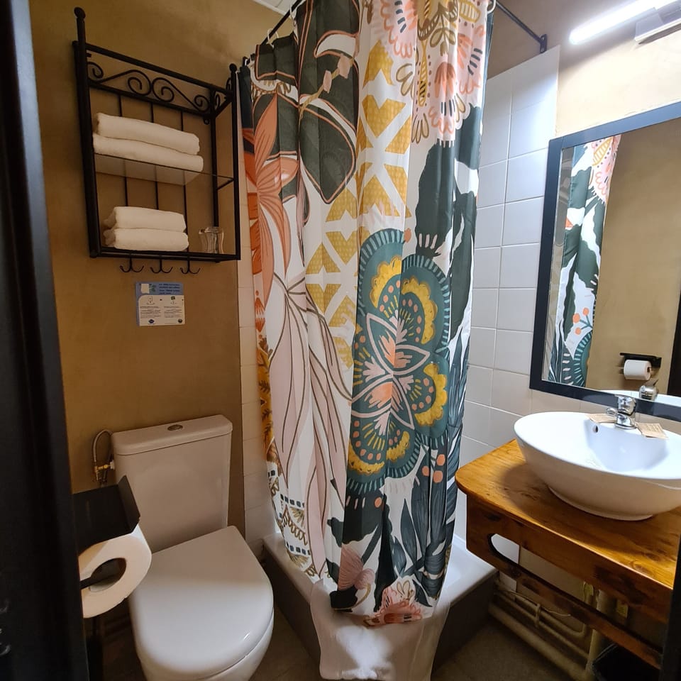 Classic Double Room | Bathroom | Shower, rainfall showerhead, hair dryer, towels
