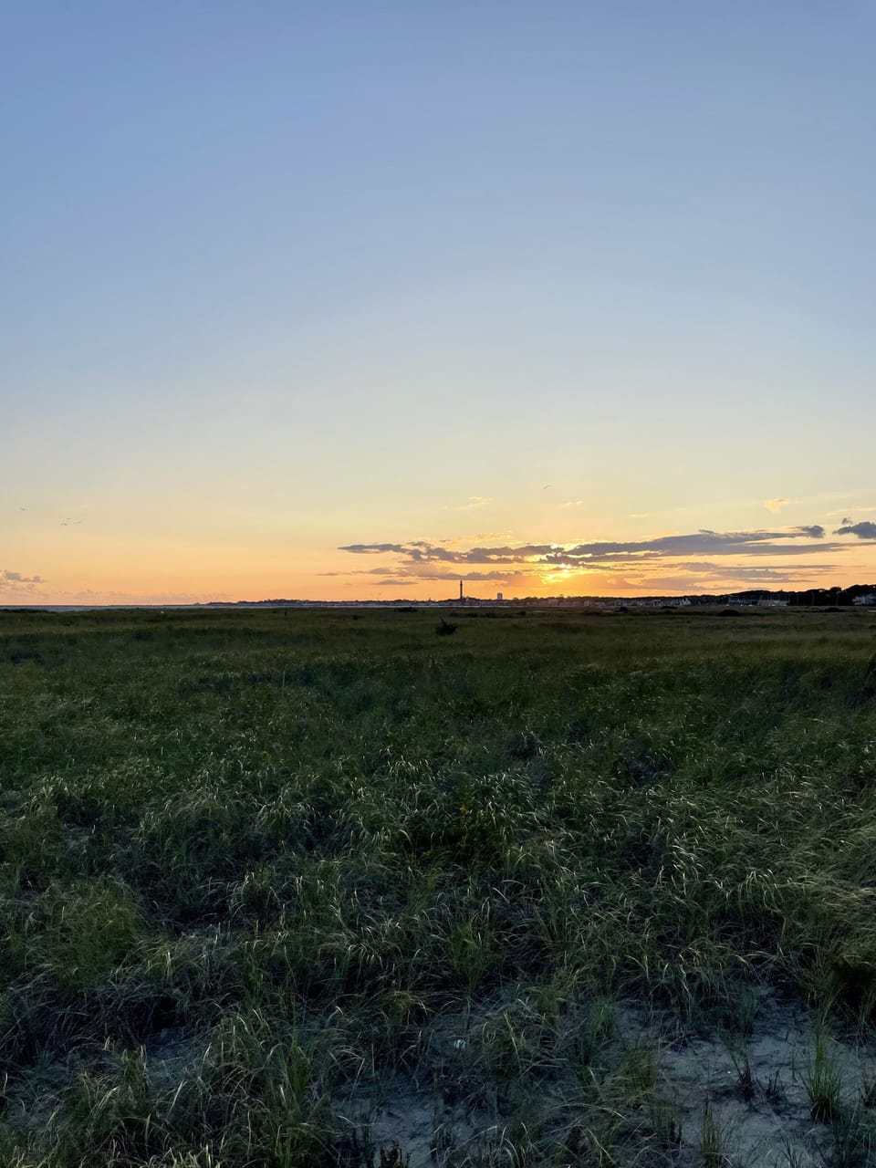 View from beach boardwalk