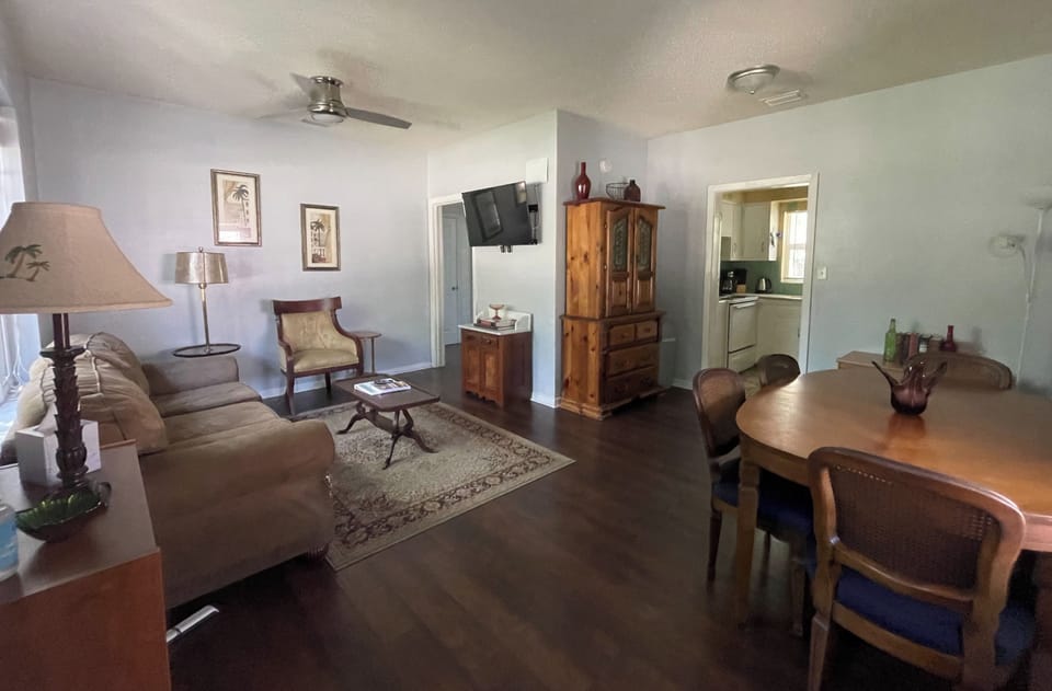 living room / dining room combo - Smart Roku TV and extra storage for kitchen