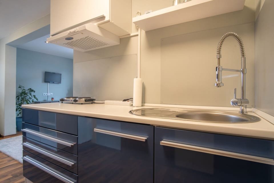 Superior Condo, Private Bathroom | Private kitchen | Cleaning supplies