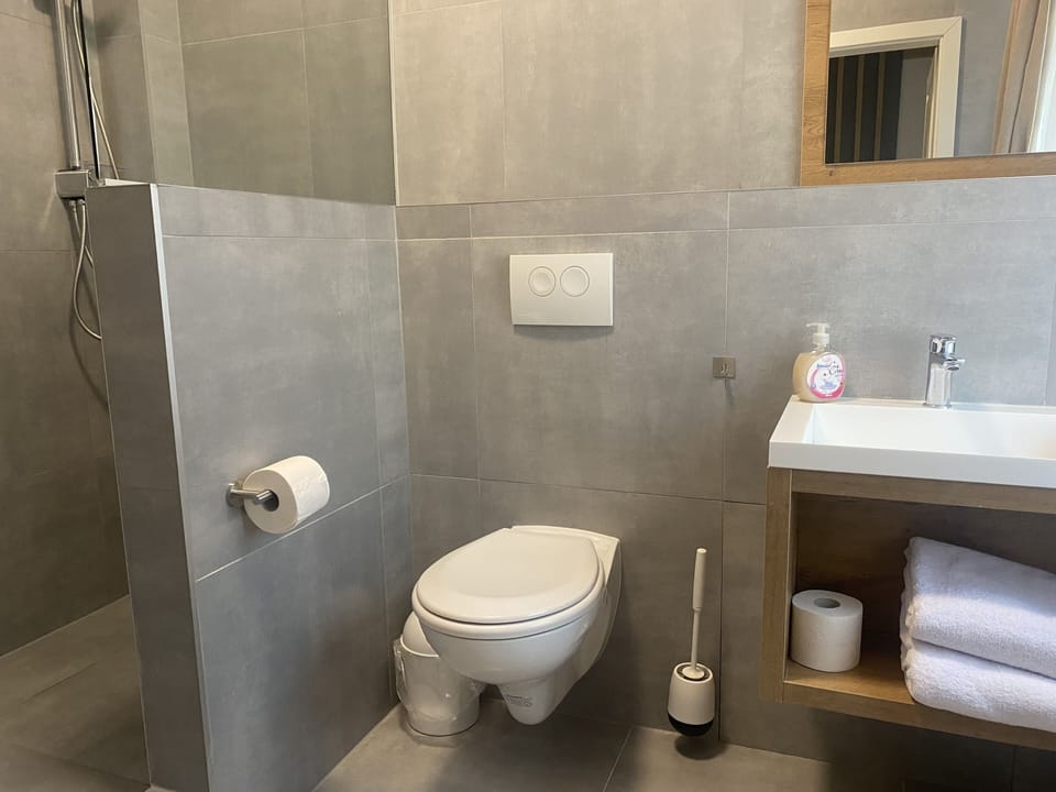 Comfort Twin Room | Bathroom | Shower, towels, soap, toilet paper