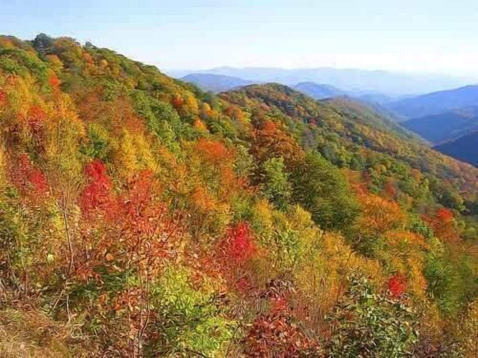Scenic Overlook: Breathtaking mountain views adorned in vibrant fall colors await your exploration!