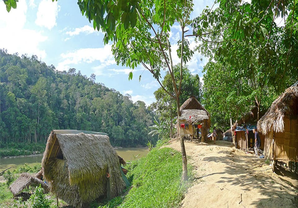 Ecotours