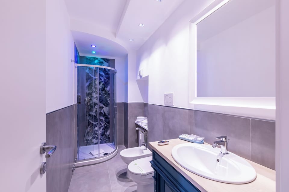 Deluxe Room | Bathroom | Shower, rainfall showerhead, free toiletries, hair dryer
