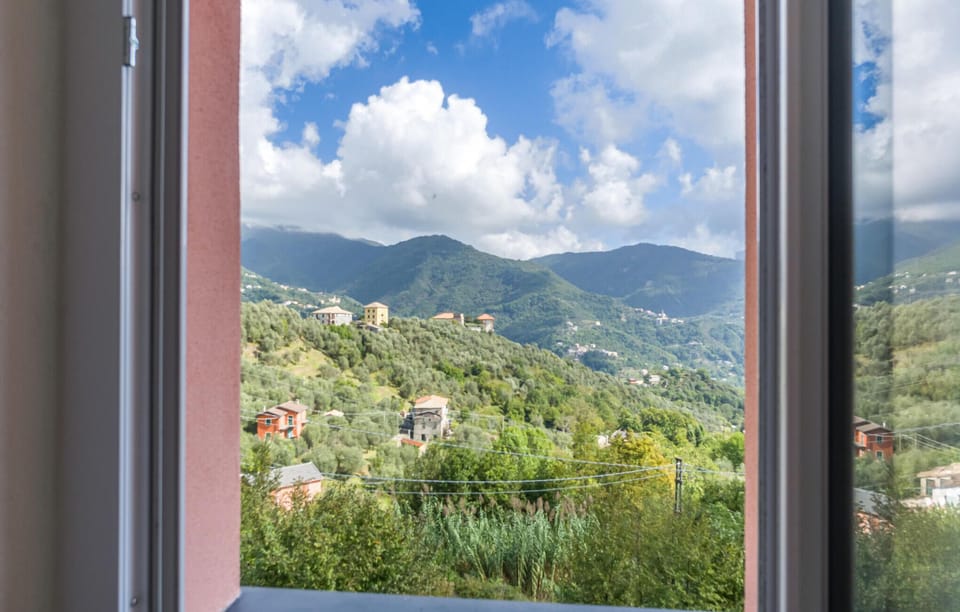 view-from-room