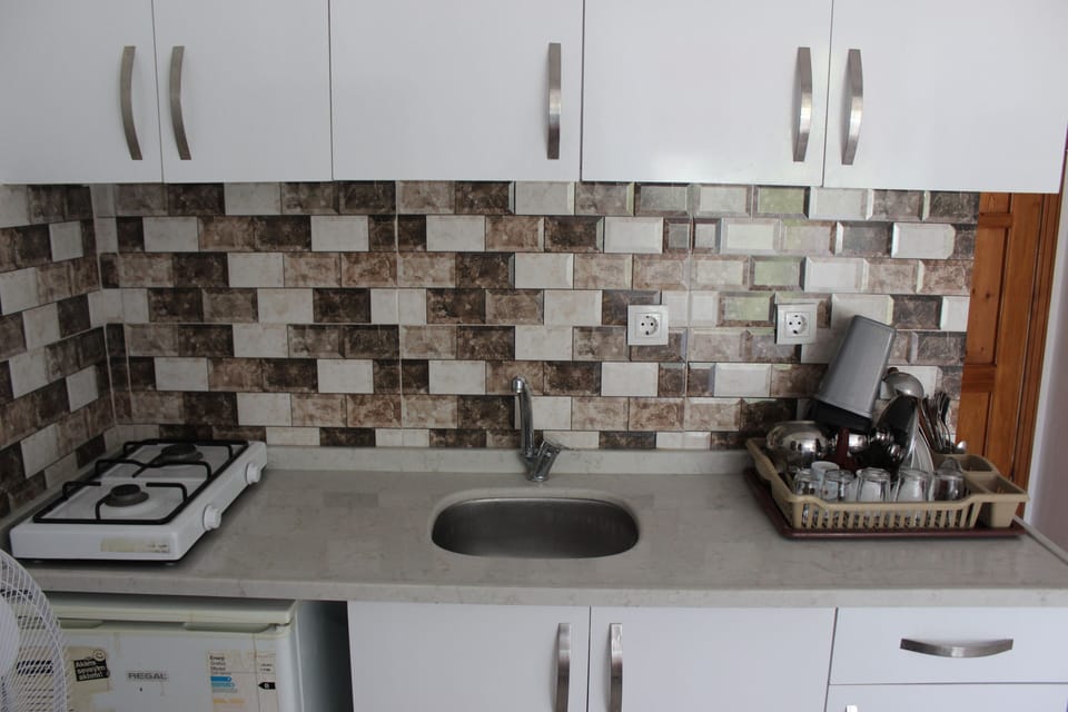 Classic Double Room, 1 Double Bed, Smoking, Mountain View | Private kitchen | Full-size fridge, stovetop, cookware/dishes/utensils