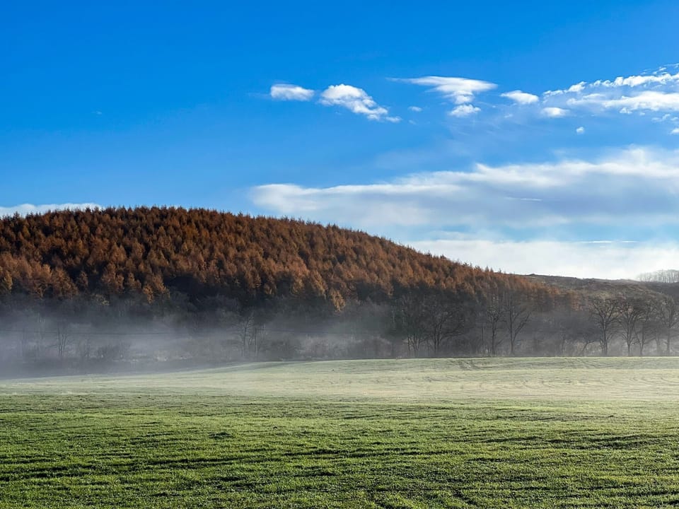 ・[Scenery] The plain covered in fog shows a different expression than usual.