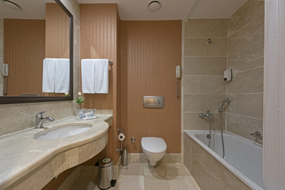 Standard Room | Bathroom | Combined shower/tub, free toiletries, hair dryer, towels