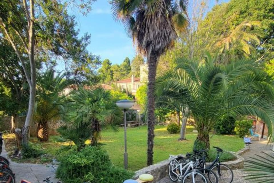 Shared Garden