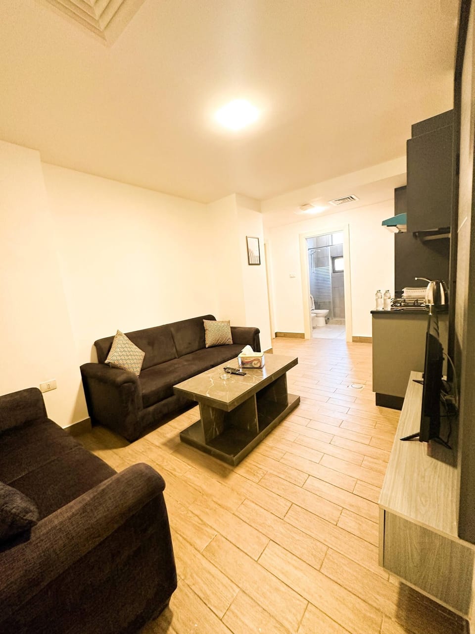 Apartment, 1 Bedroom, Accessible, Smoking | Living room