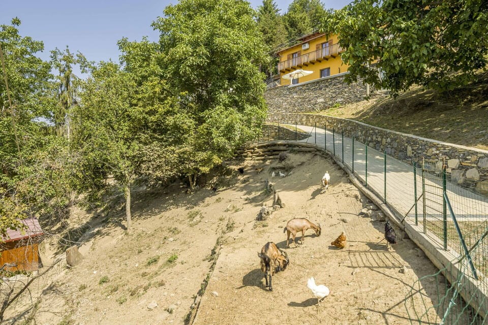 Autumn, Building Exterior, Spring, Summer