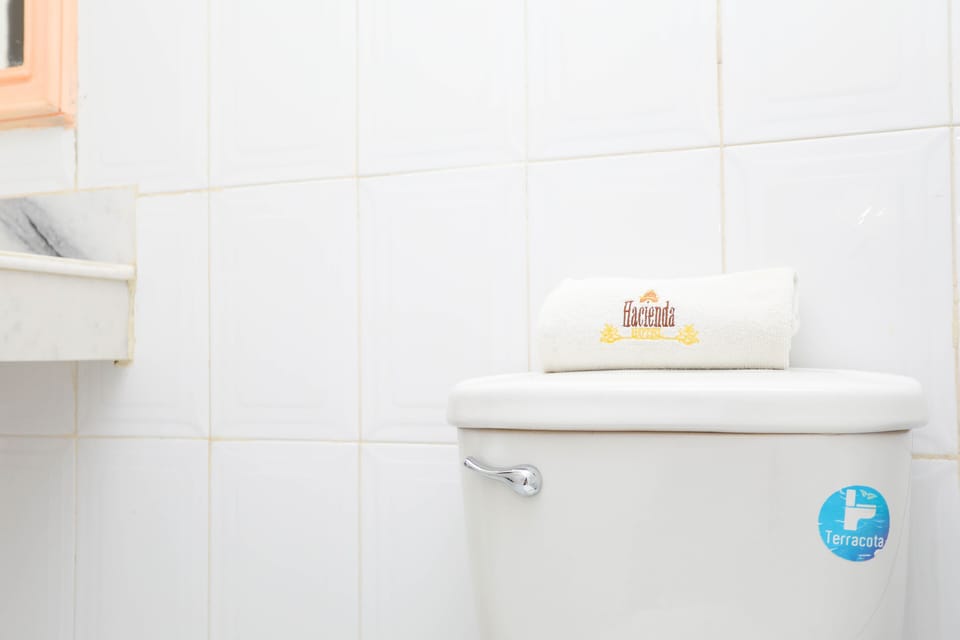 Standard Room | Bathroom | Shower, free toiletries, hair dryer, towels