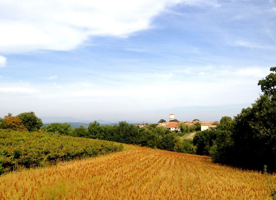 Land view from property