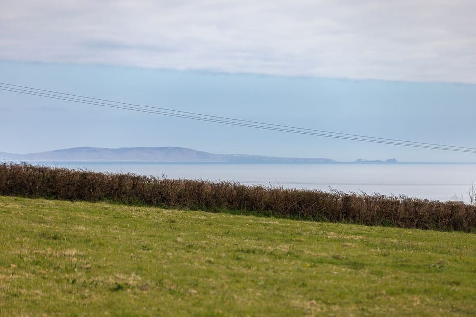 Willows Rest - 1 Bed Shepherd's Hut - Pentlepoir (25634)