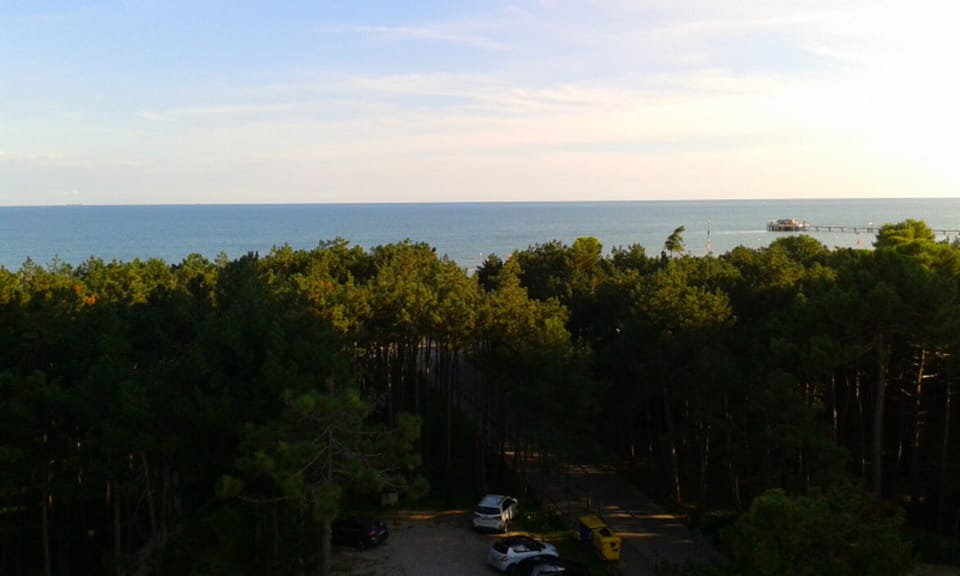 Apartment, 3 Bedrooms, Terrace, Ocean View | Beach