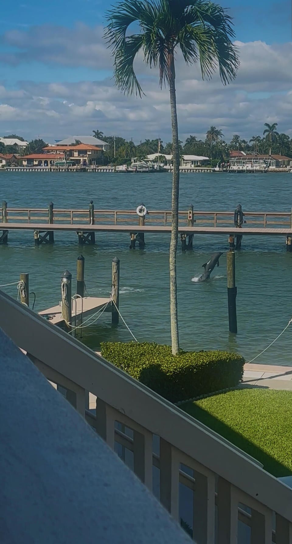 View from property
