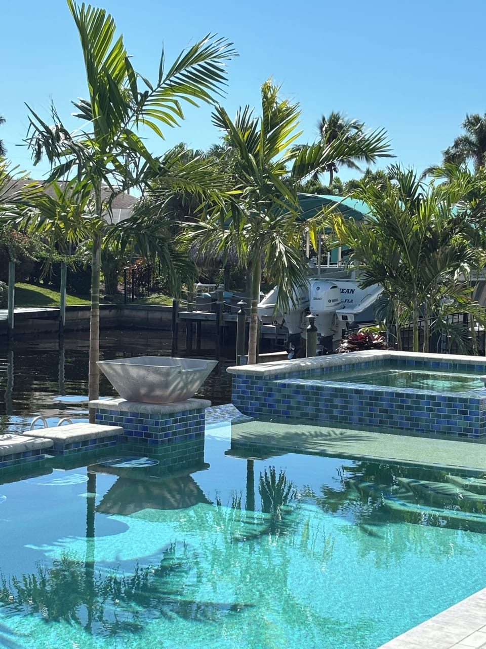 6 Beautiful New Palm Trees planted along the pool in February 2025. 