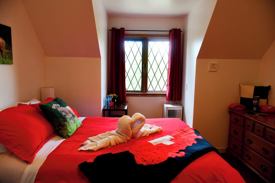 Business Double Room | WiFi (free), bed sheets