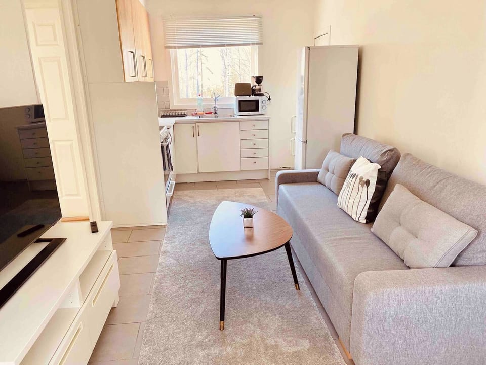 Apartment, 2 Bedrooms, Terrace, Garden View | Living area