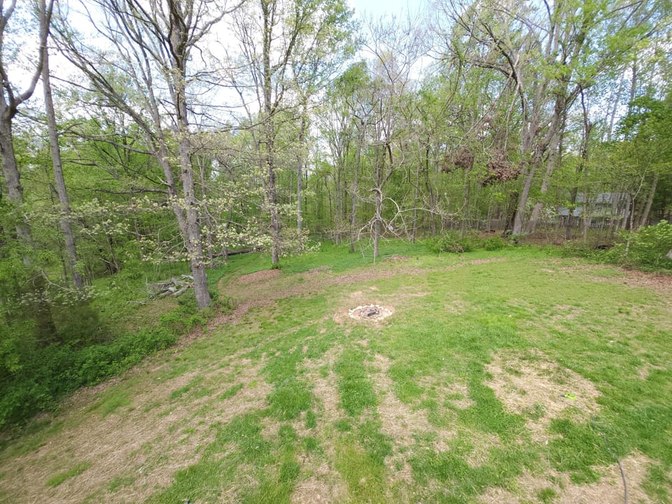 Backyard with adirondack seating around firepit