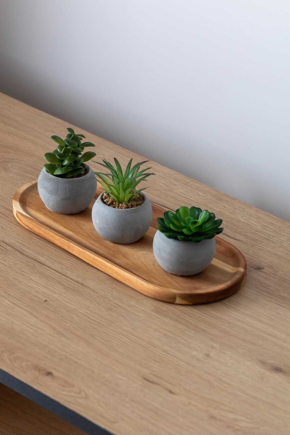 A detailed view of small decorative plants adding charm to the interior design.

