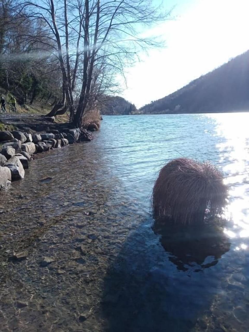 Lake