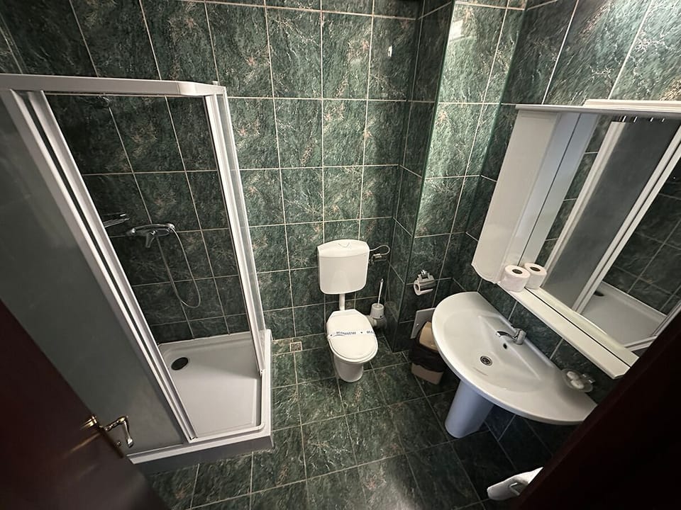Deluxe Double or Twin Room | Bathroom | Shower, hydromassage showerhead, hair dryer, towels