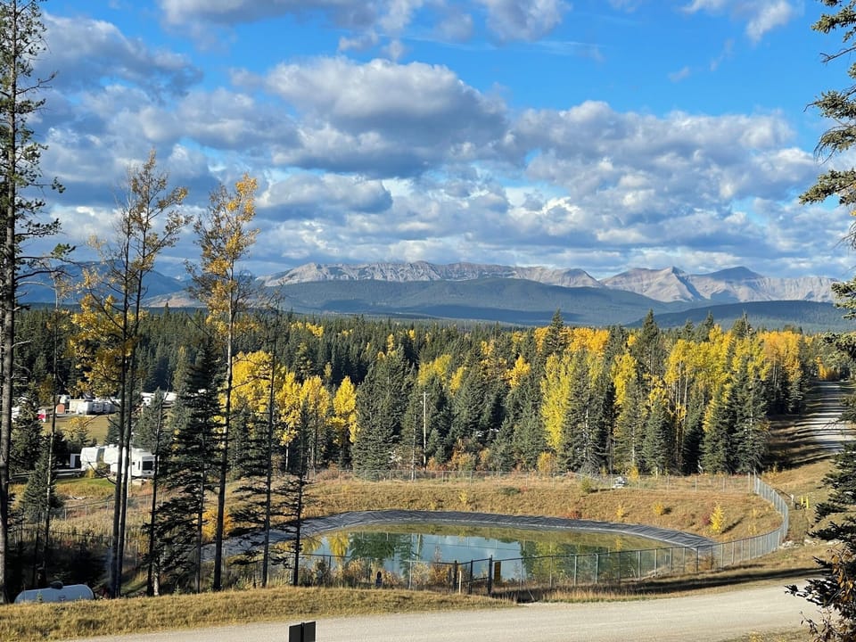 View from the cabin.