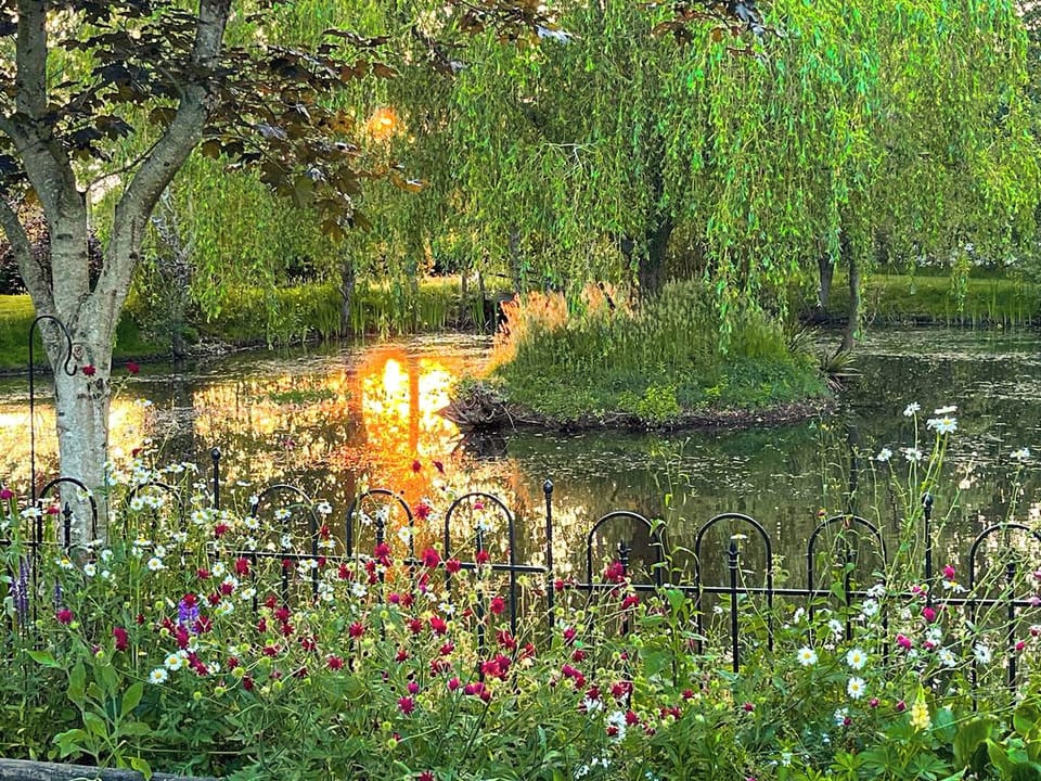Garden | The Hive - Hive Lodges, Plaistow, near Petworth