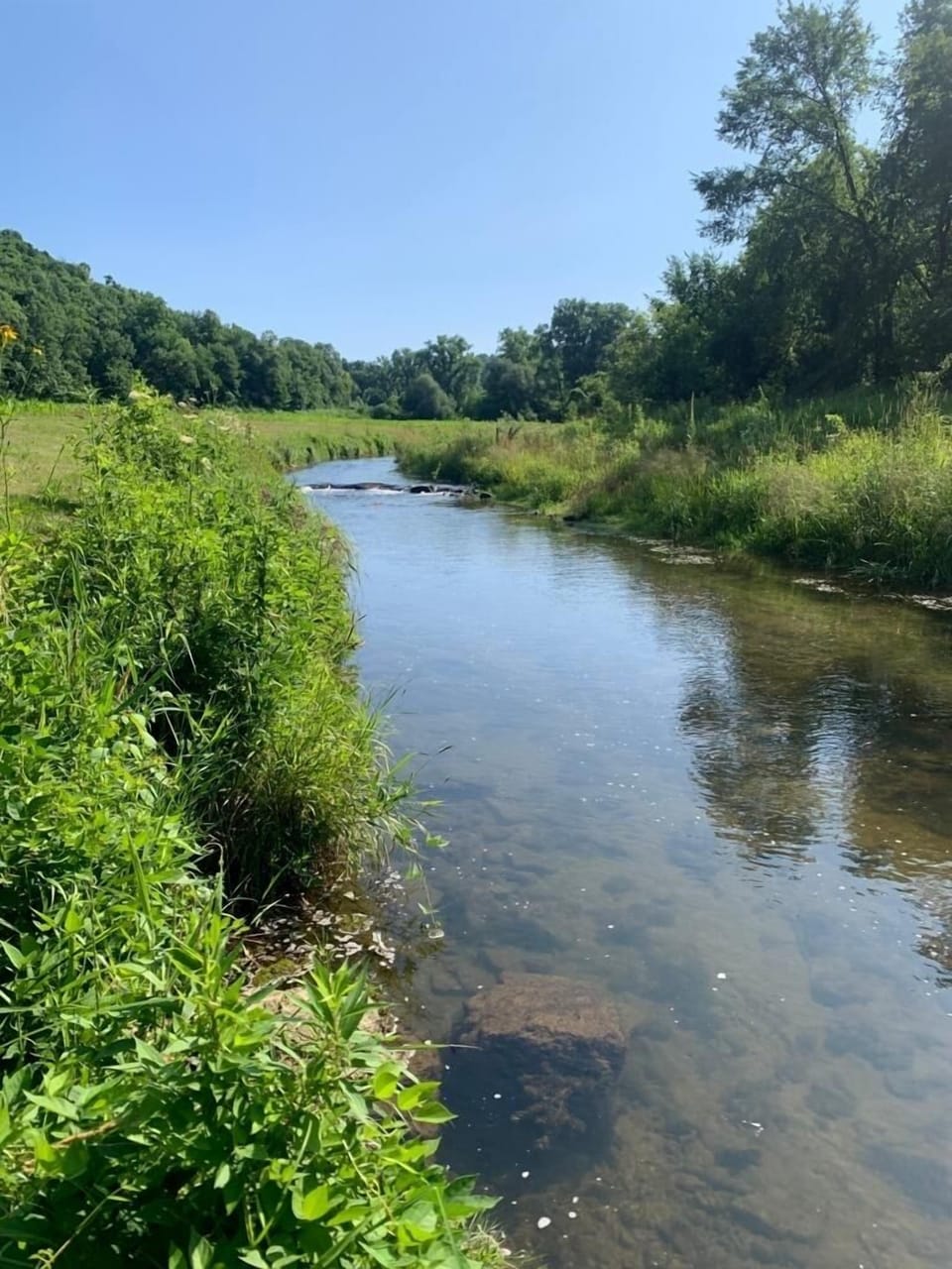 West Fork of Kickapoo across road 