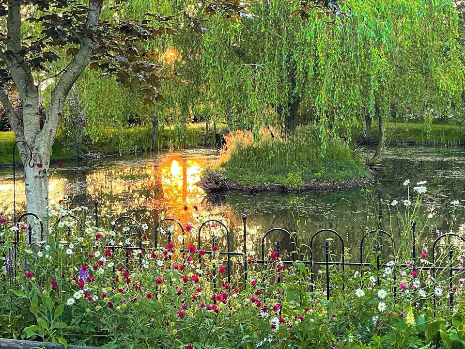 Surrounding area | The Lodge - Hive Lodges, Plaistow, near Petworth