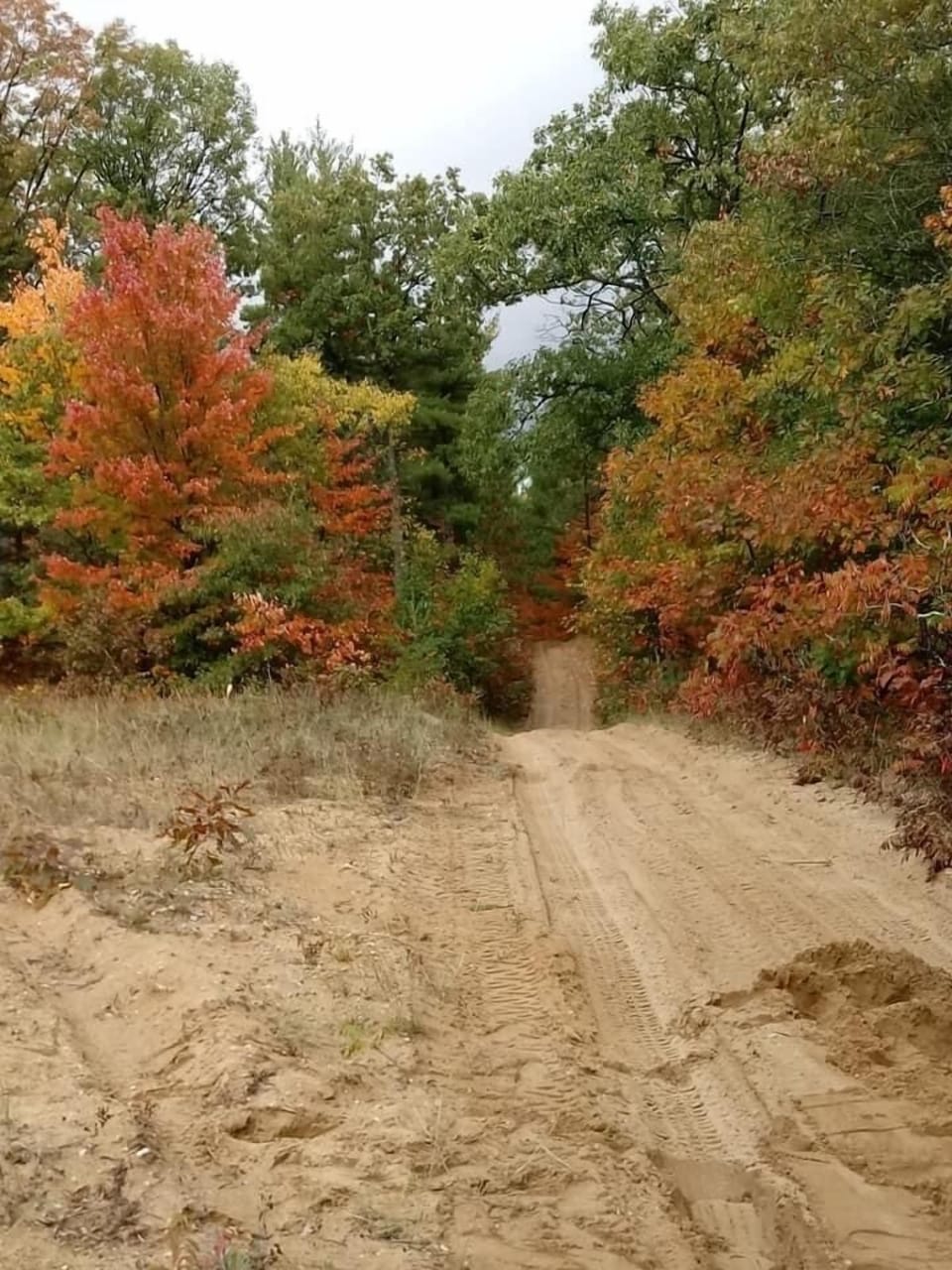Trails close by 