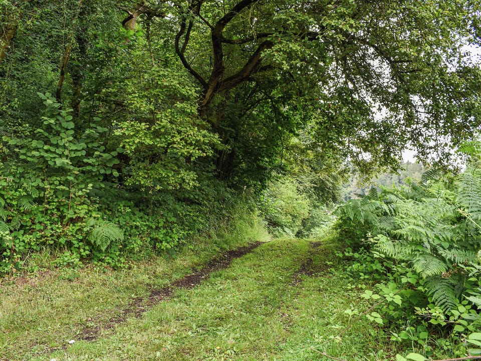 Surrounding area | The Cottage, Lydney