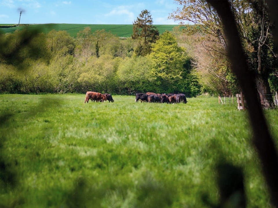 Surrounding area | Helen&rsquo;s Shepherds Hut, Haxton