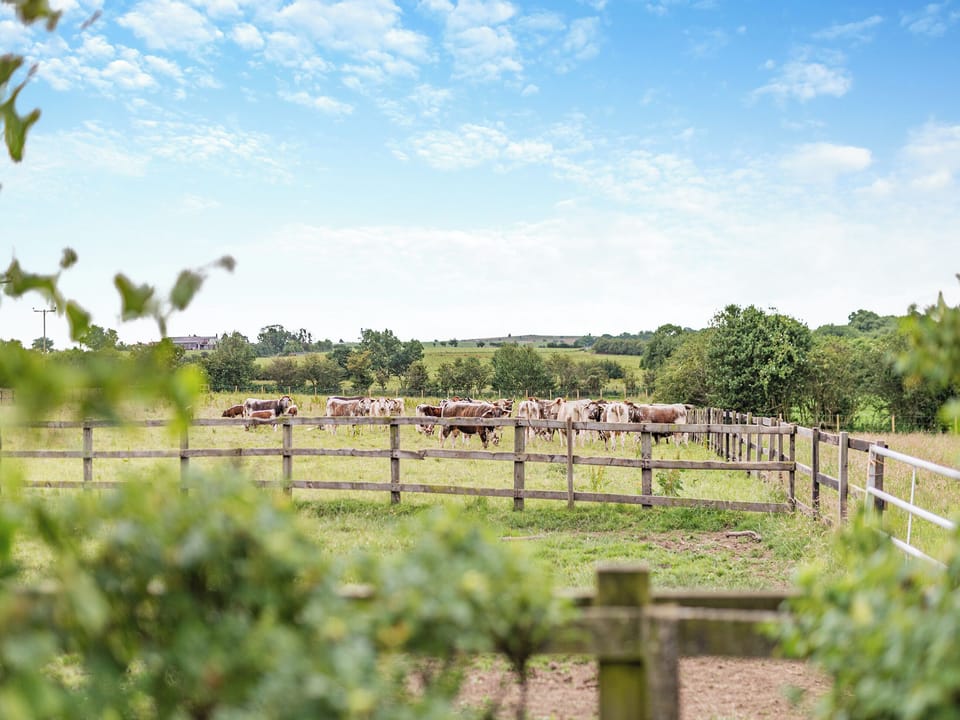 Surrounding area | The Wheelhouse, Liverton, near Staithes