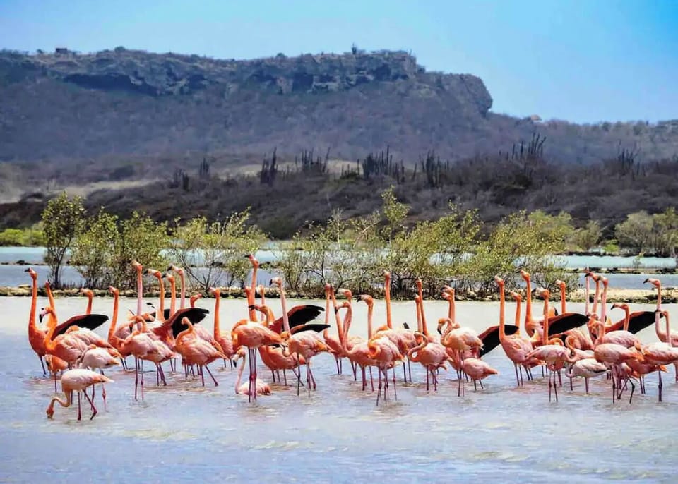 One of 3 villas inside the Resort with flamingo lake views on the back