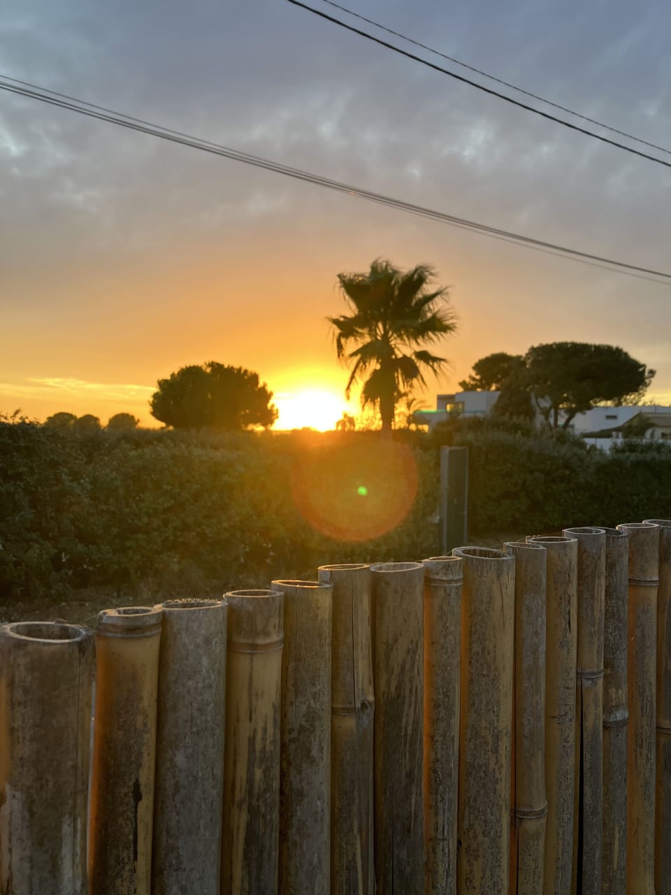 View from property