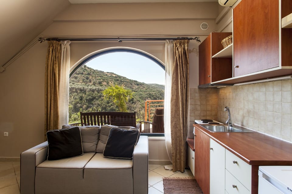 Deluxe Studio | Private kitchen | Fridge, stovetop, coffee/tea maker, electric kettle