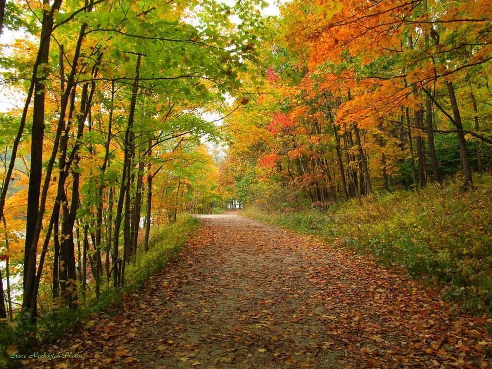 In the fall, mother nature shows off her best landscapes