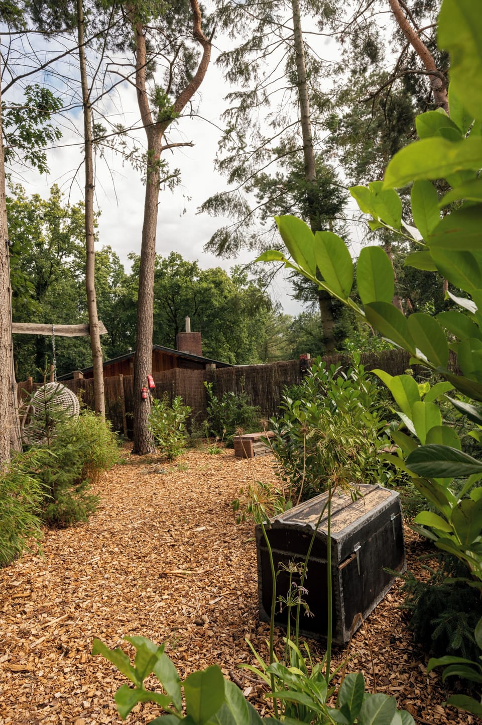 garden (2)