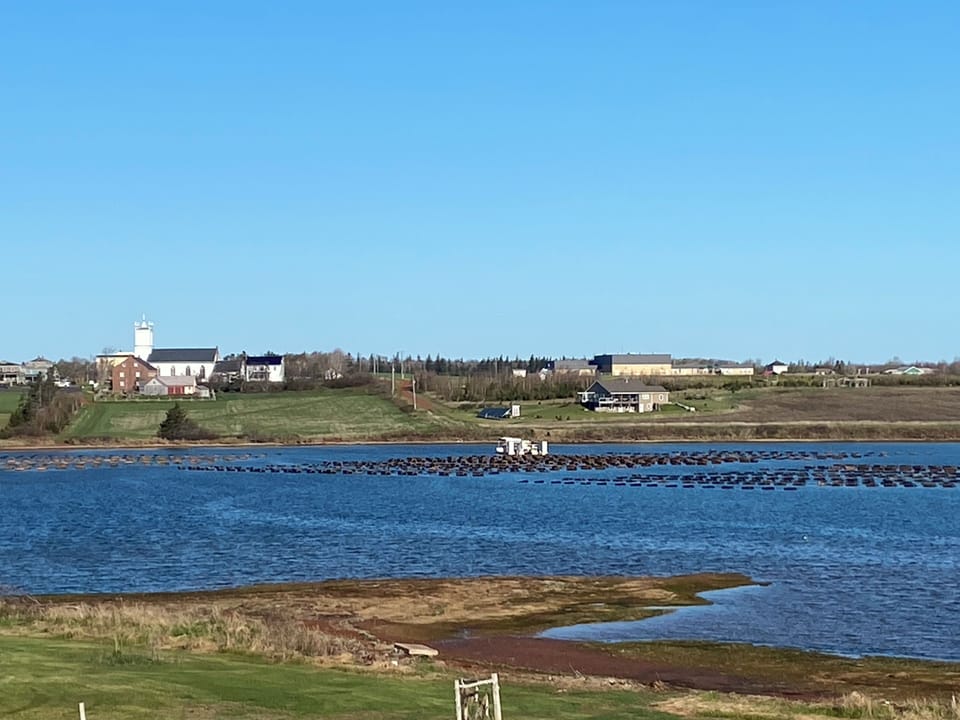 View looking across the bay, oyster farmers at work