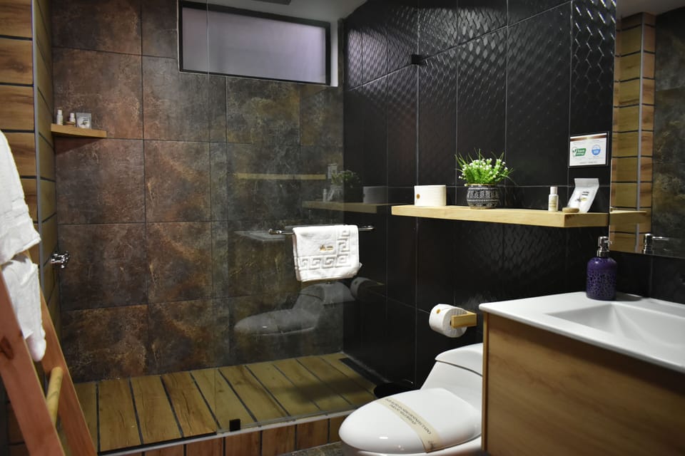 Deluxe Double Room | Bathroom | Shower, rainfall showerhead, free toiletries, hair dryer (on request)